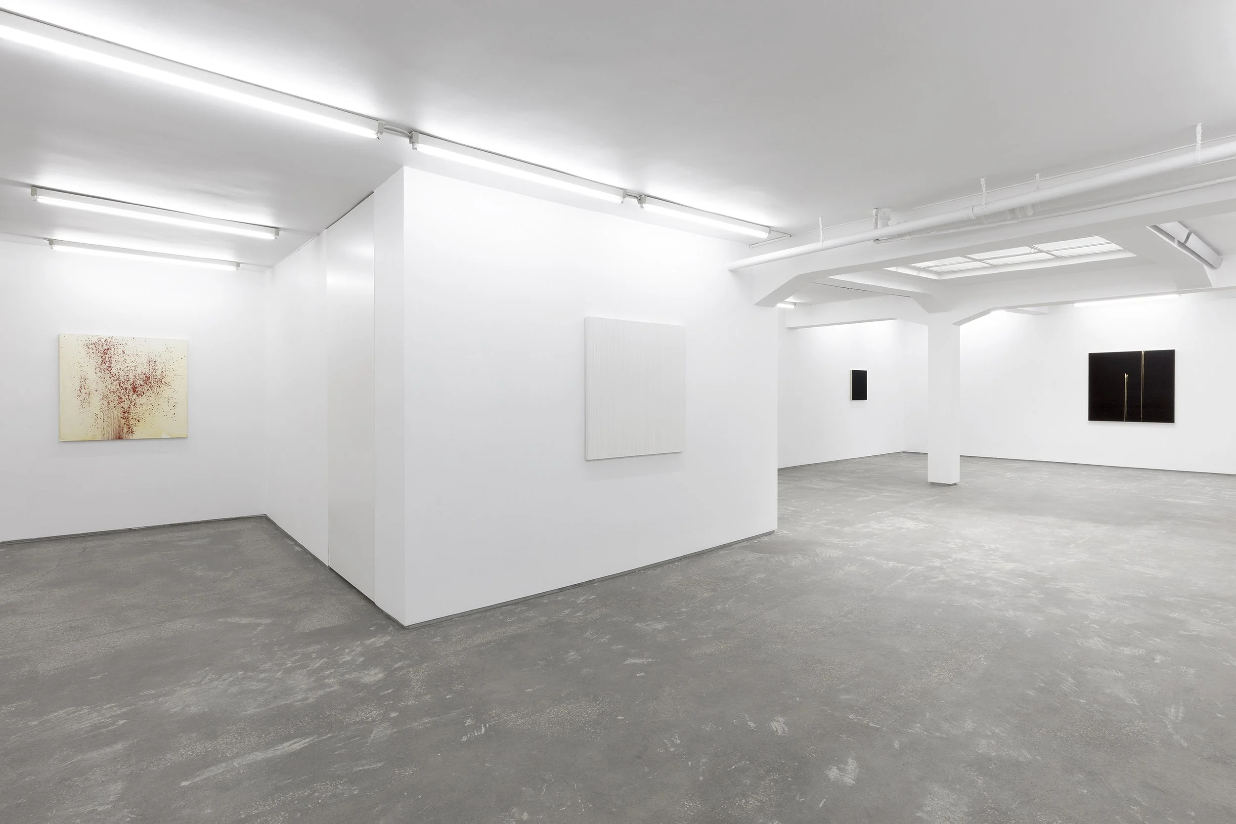 Callum Innes - Present Perfect_074.jpg