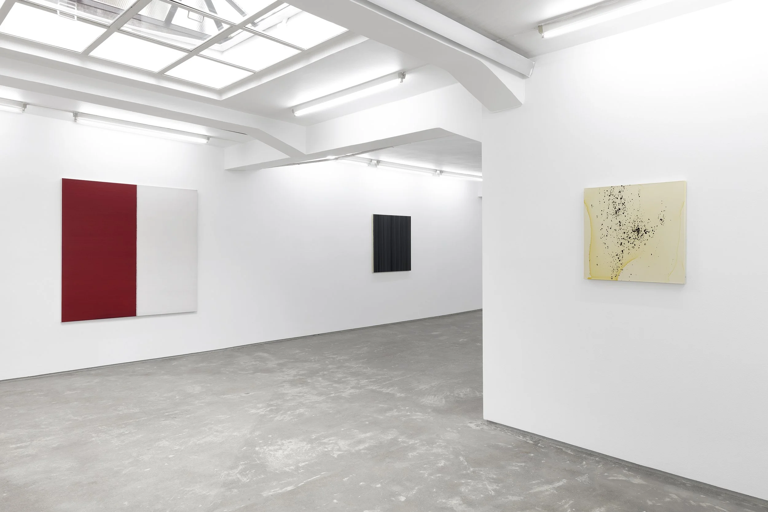 Callum Innes - Present Perfect_052.jpg