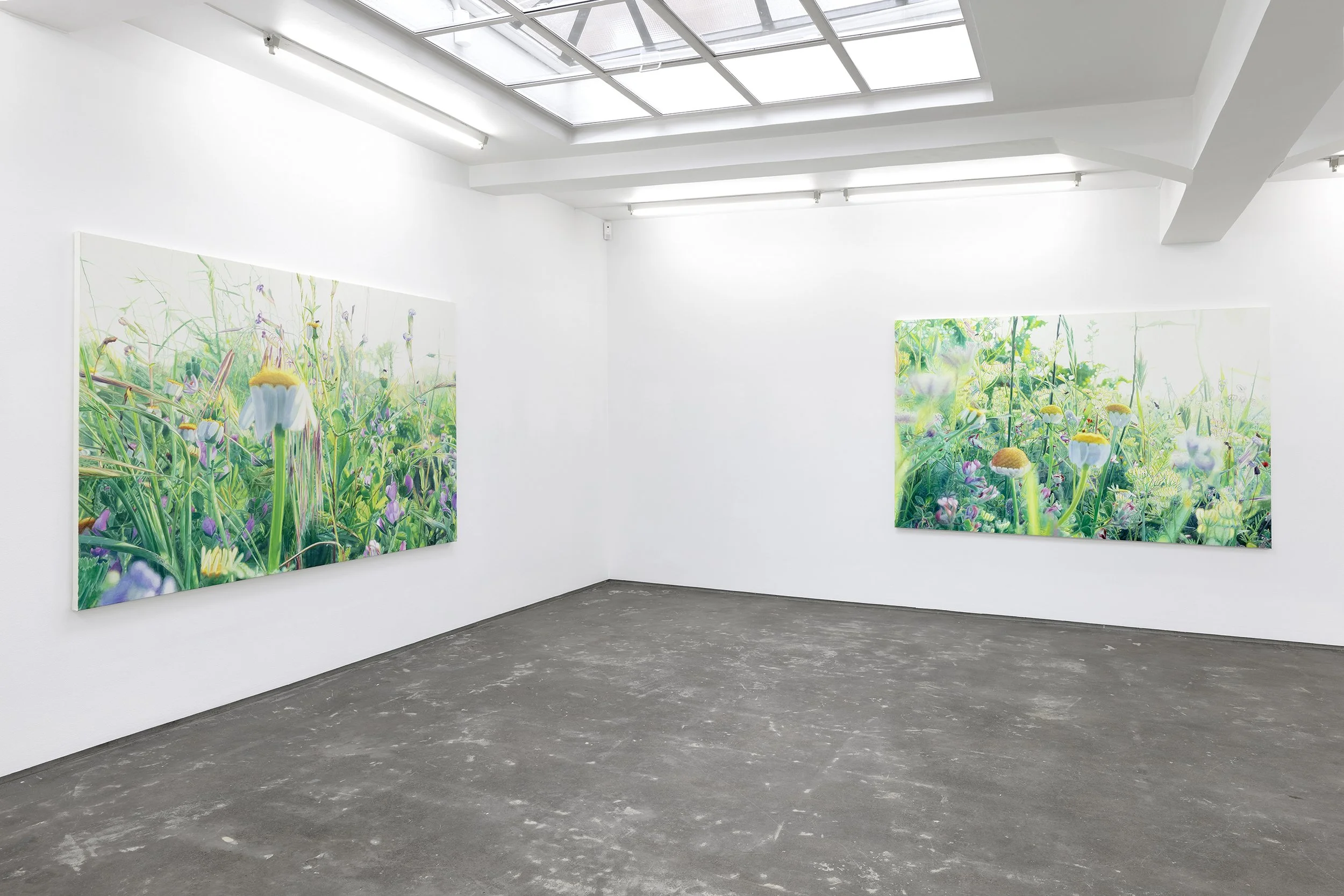 Vibeke Slyngstad_Wild Weeds_041.jpg