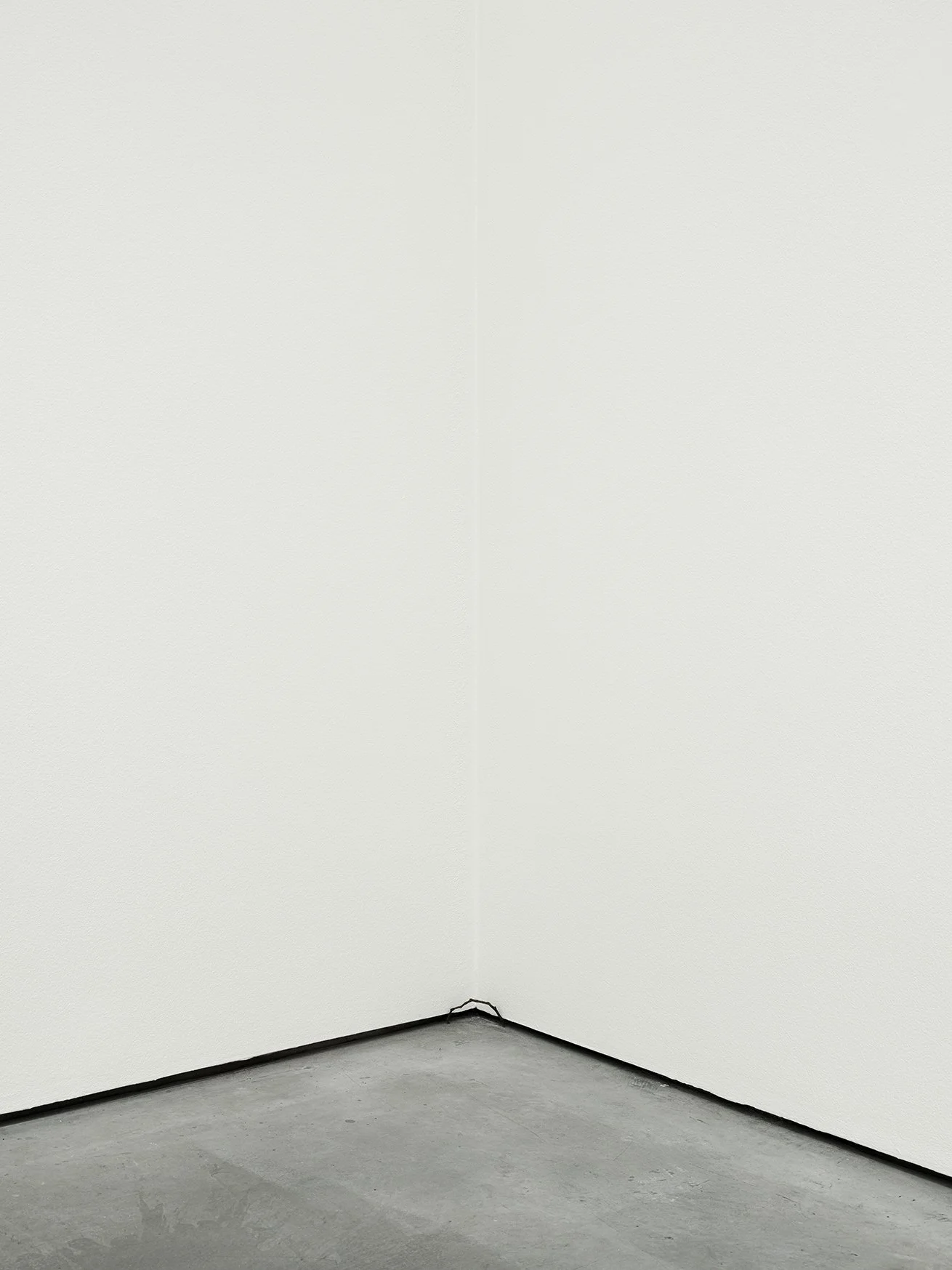 Rei Naito - breath_1266.jpg