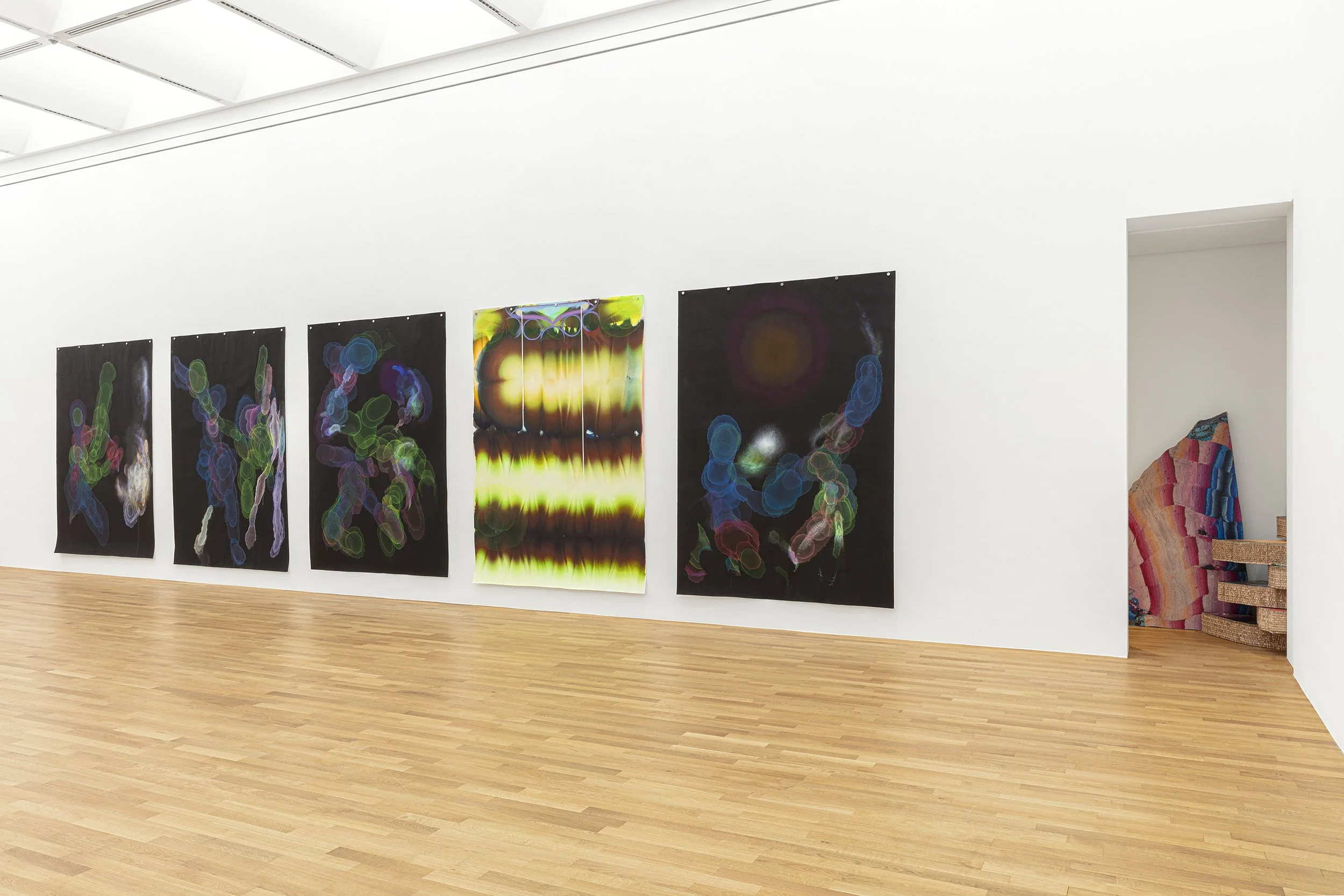 Kerstin Brätsch - METAATEM_3194.jpg