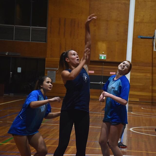 Do you like TEDS? Do you like basketball? Then get on down to the Forum tonight to watch @clairespain_ get buckets against West in the Grand Final 🦁Good luck to all the girls. Bring that trophy home! 🏆 Game start @7:40 
@uonstudentliving @theforum.