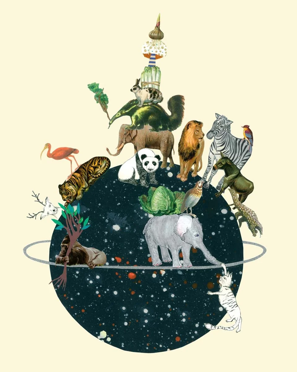 EARTH 2.0