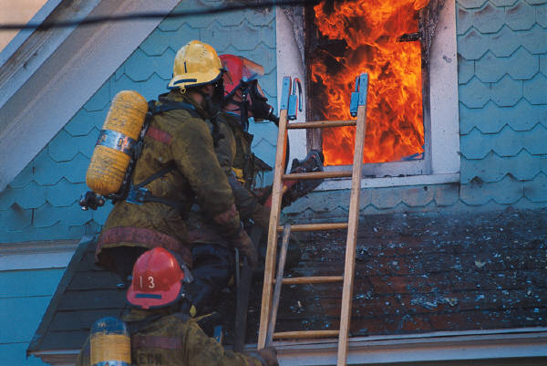 Fire neuroinflammation.jpg