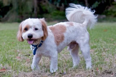 A young and neat Mr Digby
