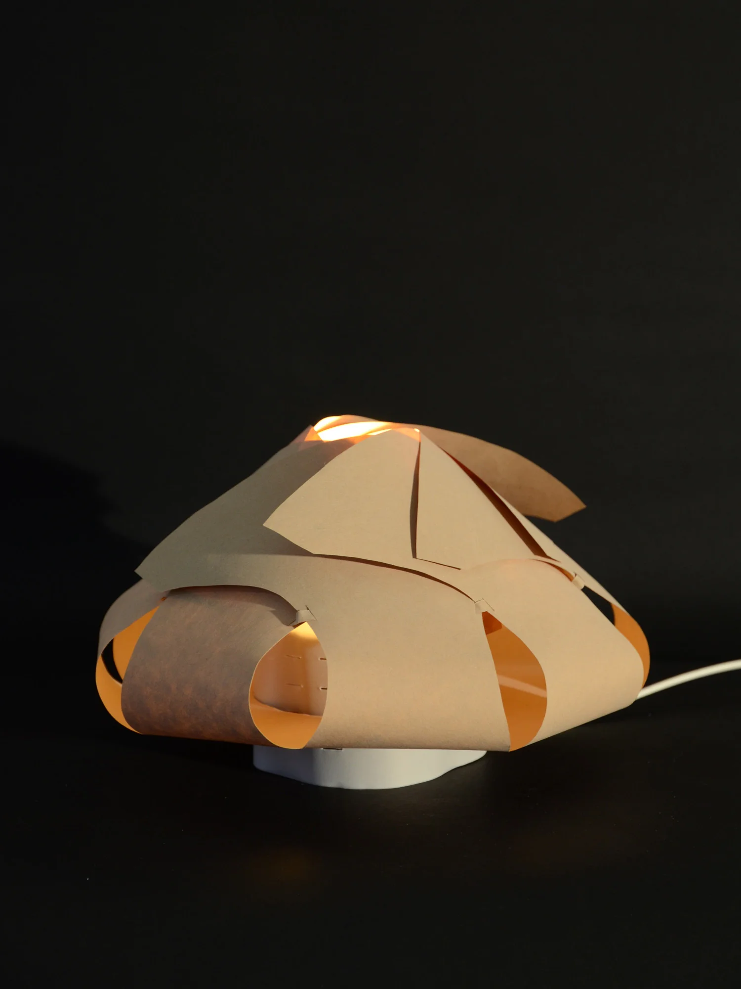 ESDMAA-BTS-PAPIER_LUMIERE_05.jpg