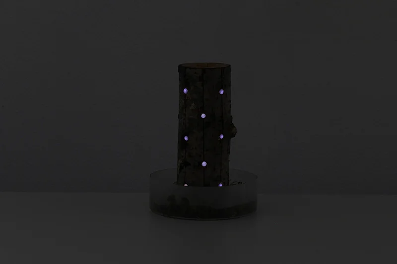 ESDMAA-DSAAD-DIPLOMES_2015_OBJETS-LUMINESCENTS_05.jpg