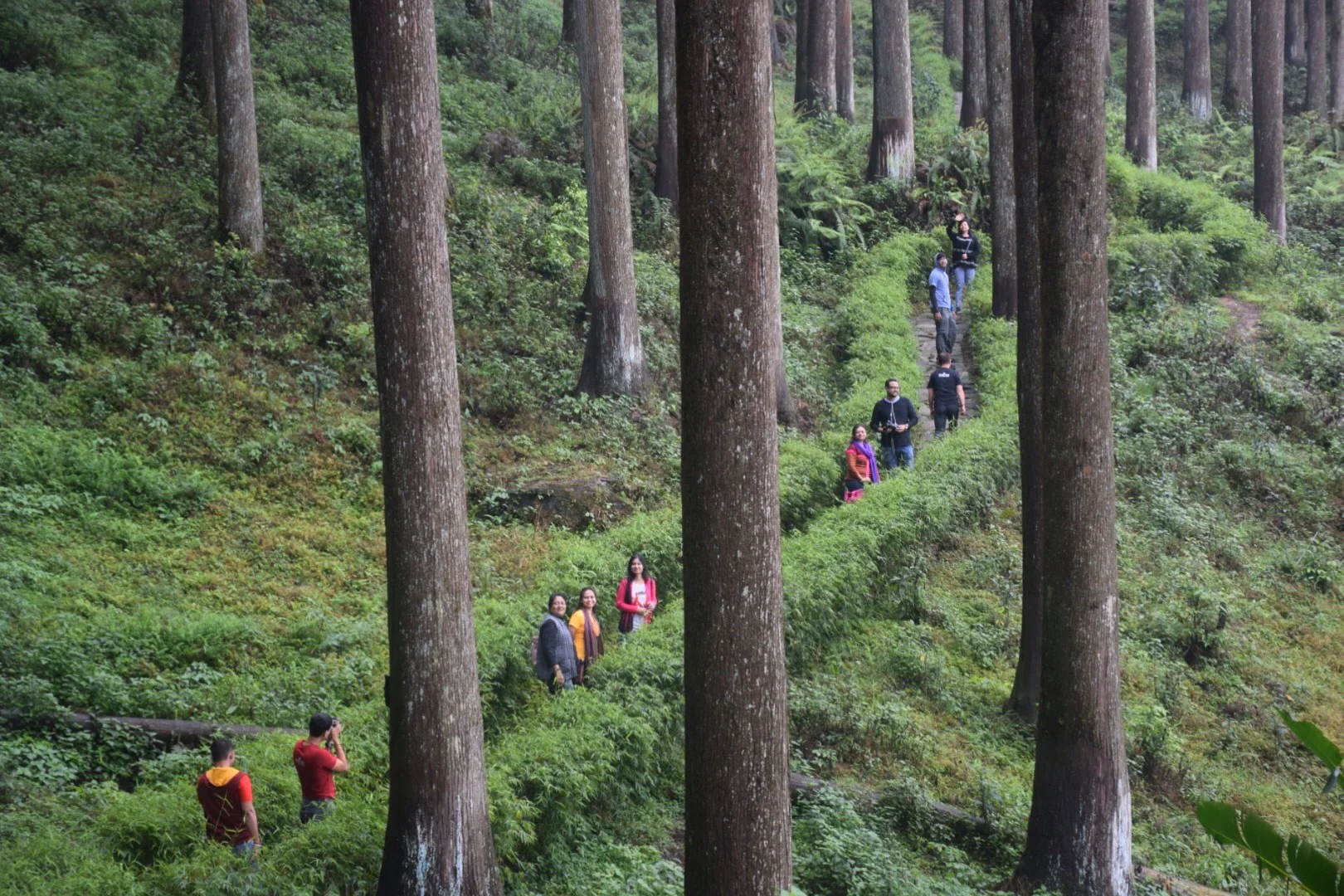 MYSTIC YOGA RETREAT -  Tinchuley–Darjeeling 