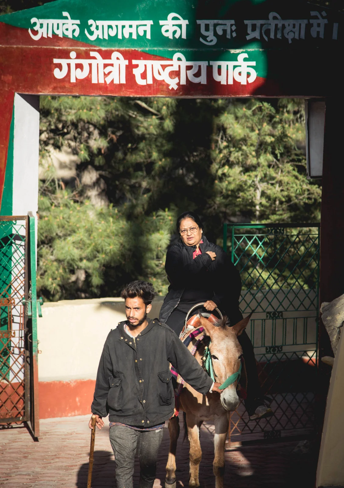 MYSTIC YOGA RETREAT - GOMUKH-TAPOVAN-2018 (32).jpg