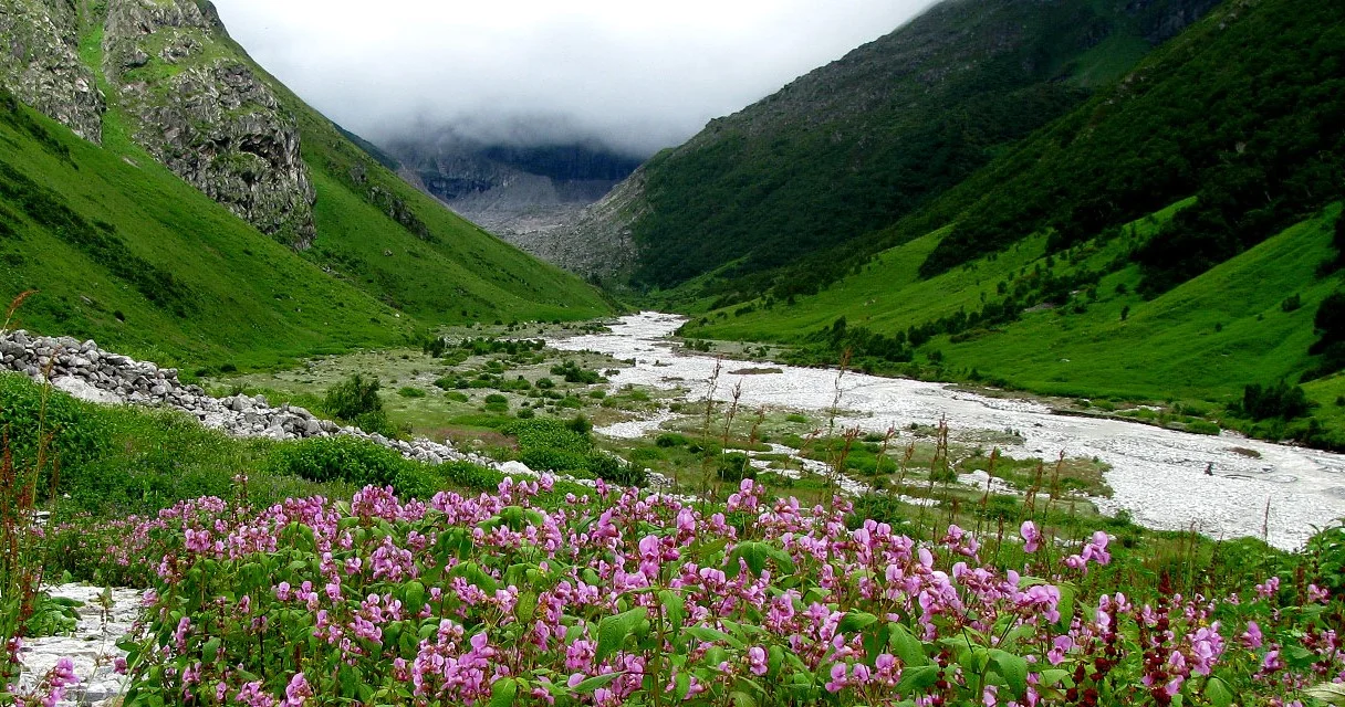 HEMKUND SAHIB & VALLEY OF FLOWERS