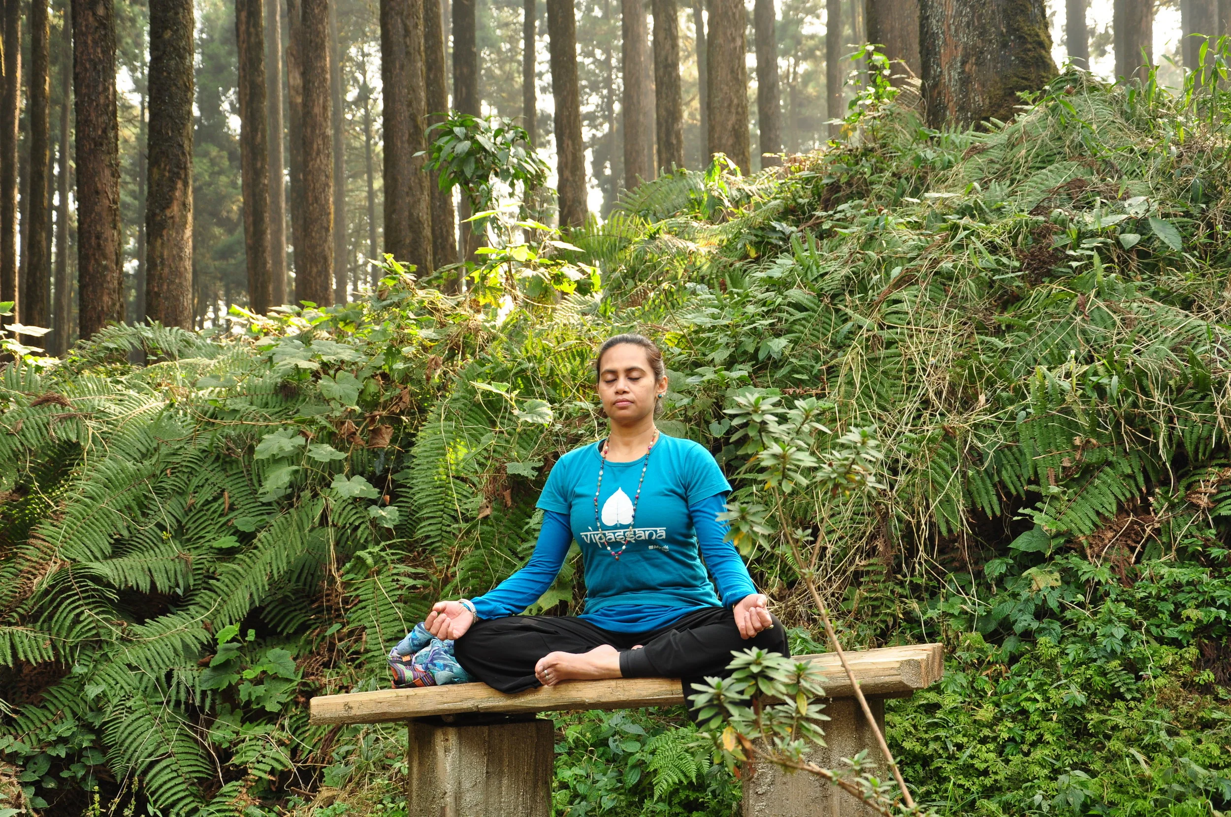 Vipassana Meditation Retreat