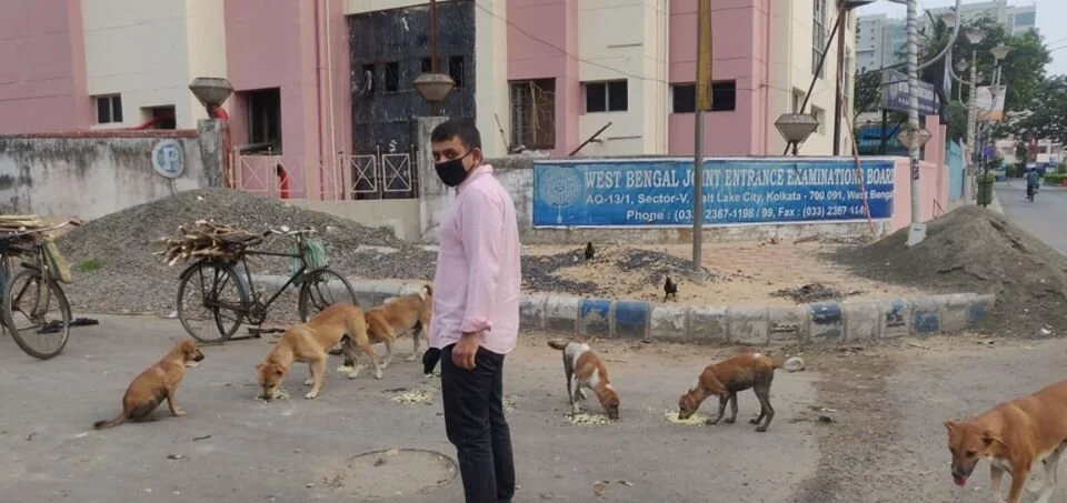 Finding Joy in Caring for the Strays