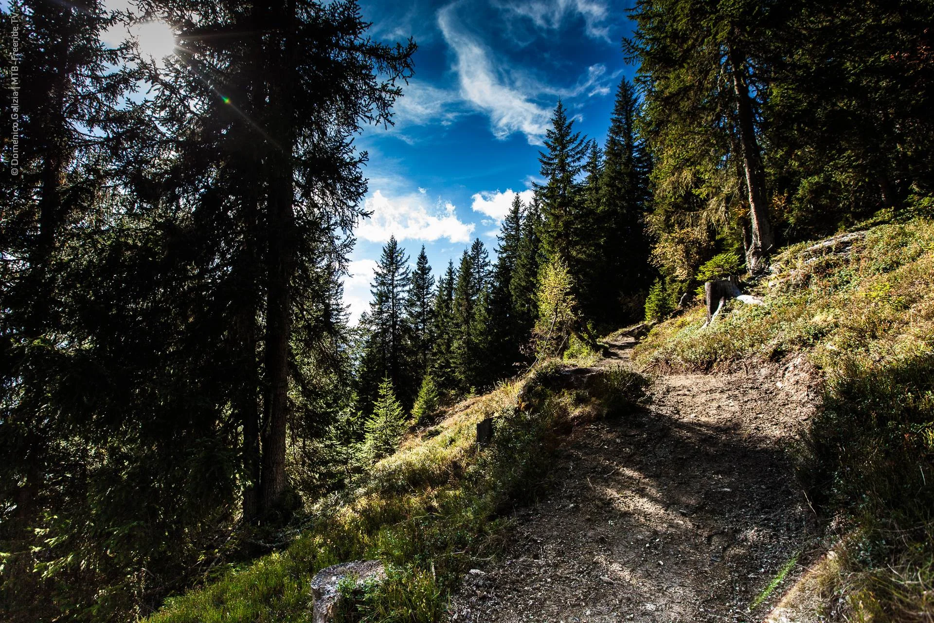 ridable_trailbuilding_Gerlos_2014-021.jpg