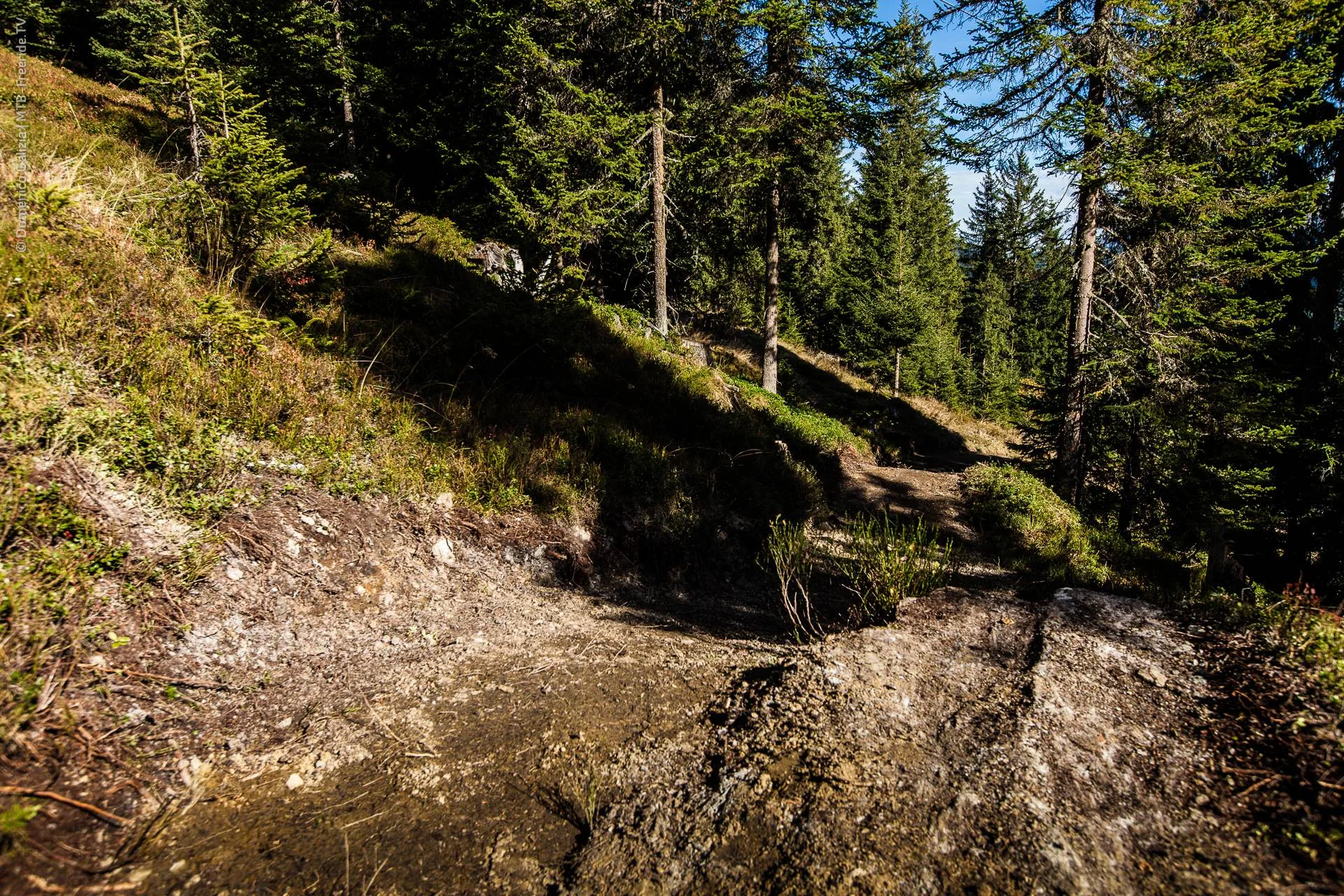 ridable_trailbuilding_Gerlos_2014-020.jpg