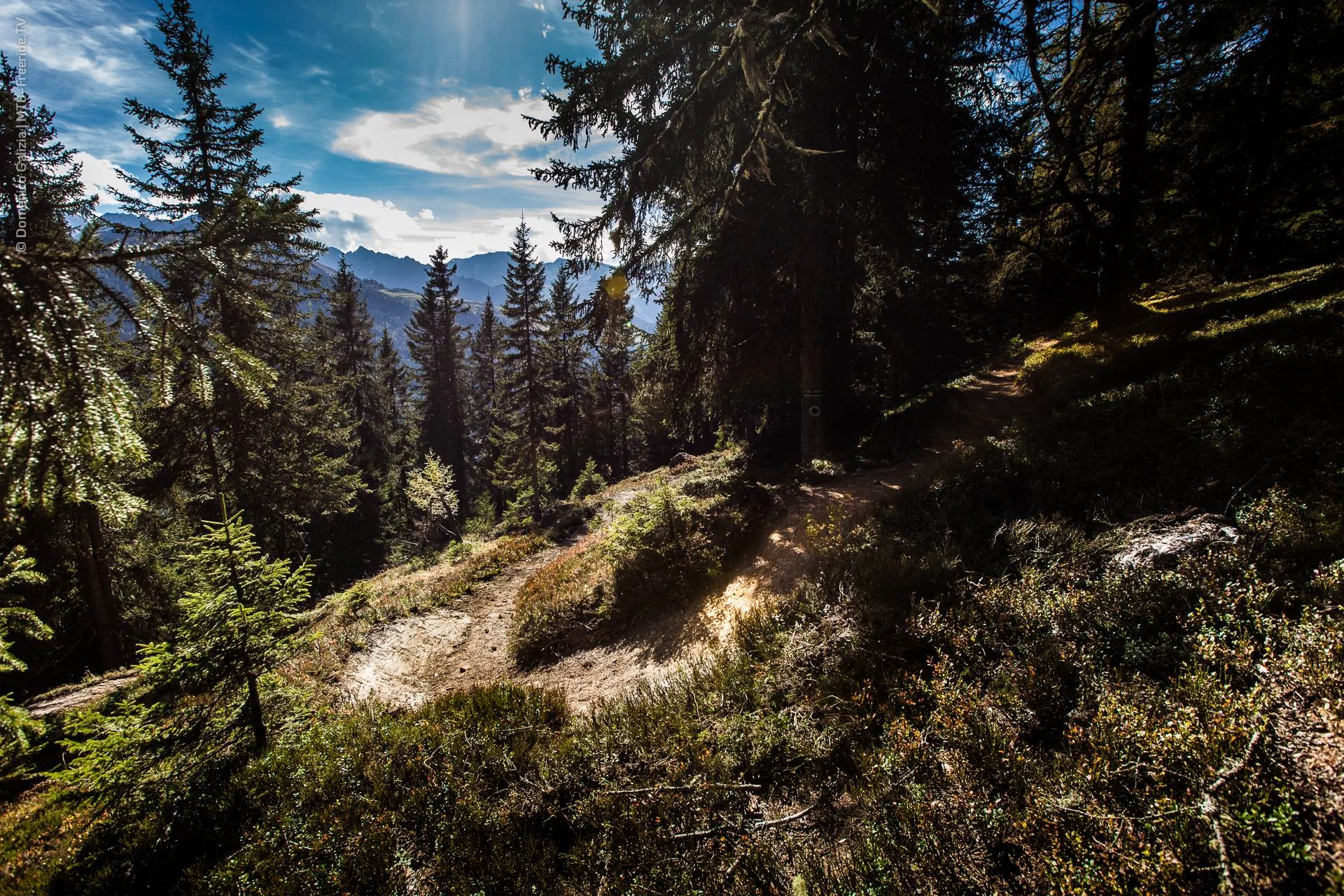 ridable_trailbuilding_Gerlos_2014-011.jpg