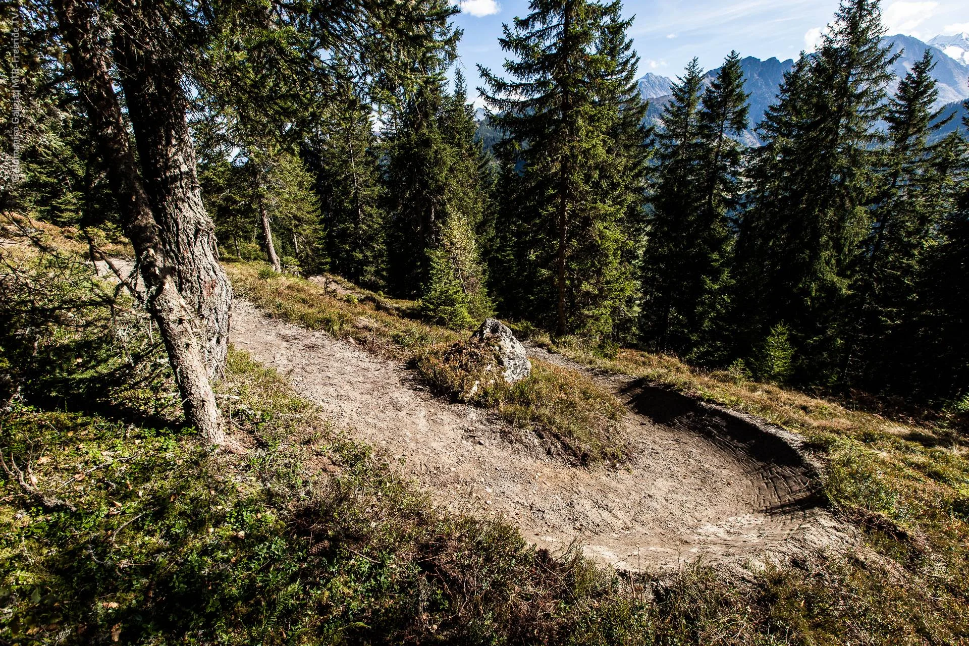 ridable_trailbuilding_Gerlos_2014-004.jpg