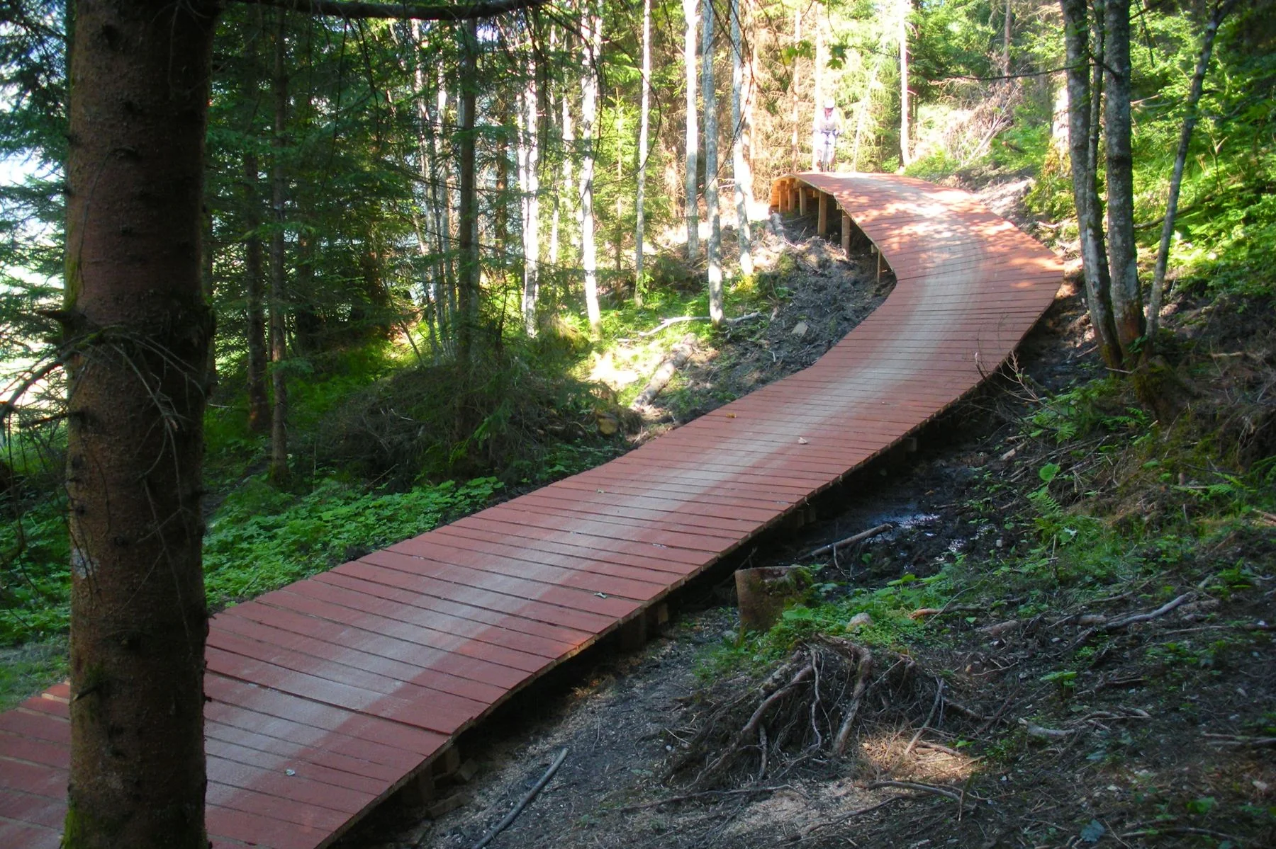 rideable_trailbuilding_flow_one 31.jpg