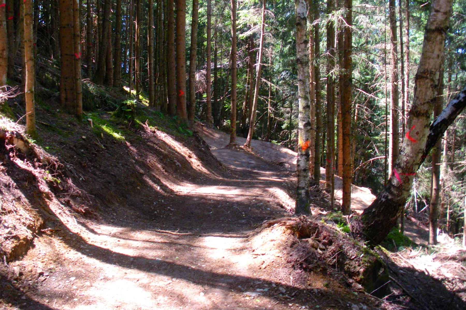 rideable_trailbuilding_flow_one 14.jpg