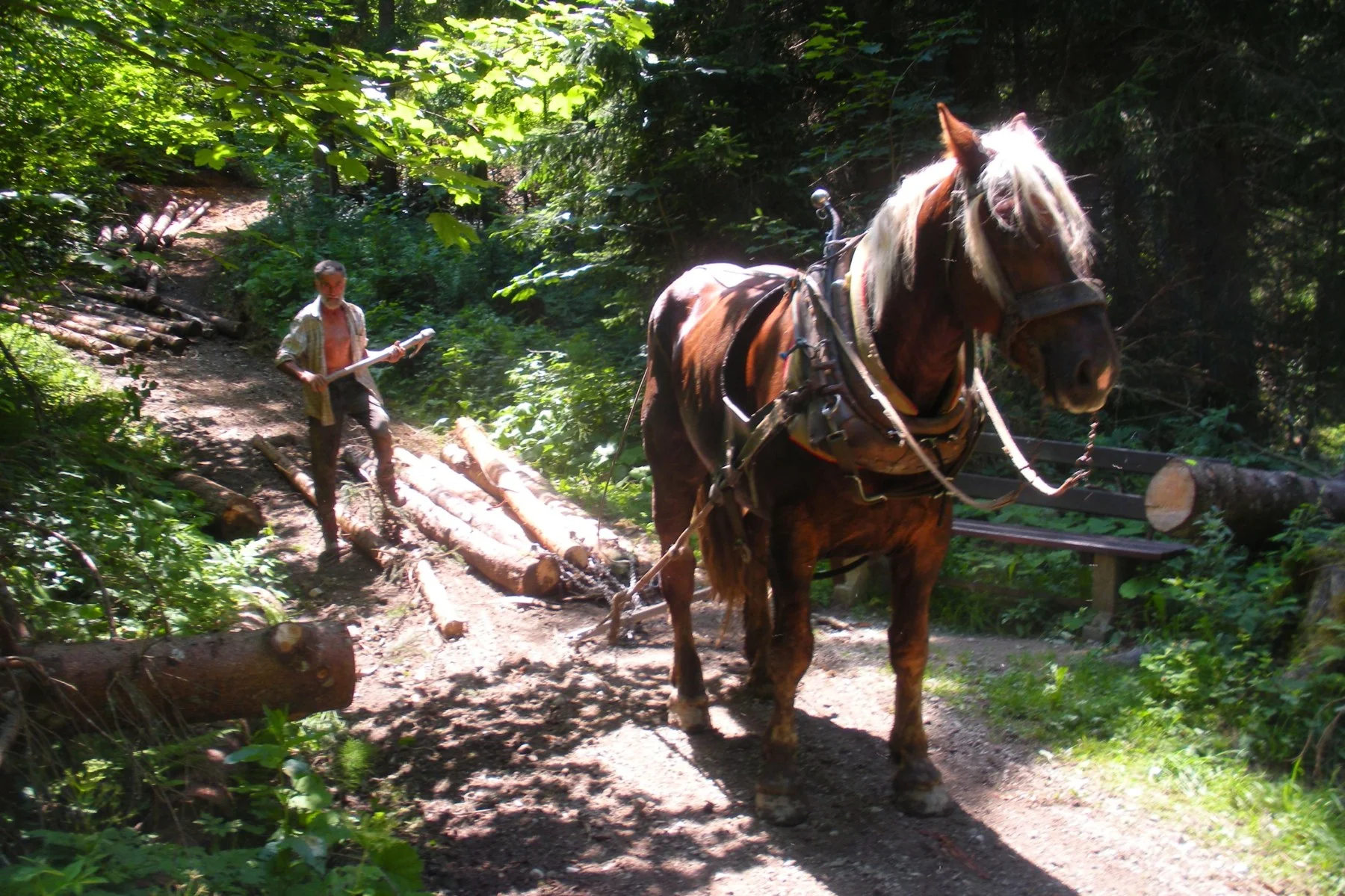 rideable_trailbuilding_flow_one 7.jpg