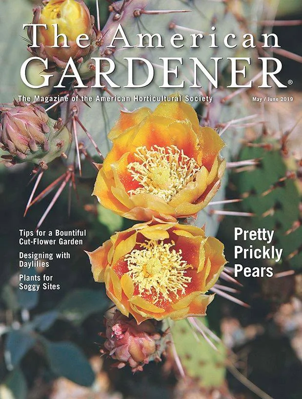 AHS Cover 6-19.jpg