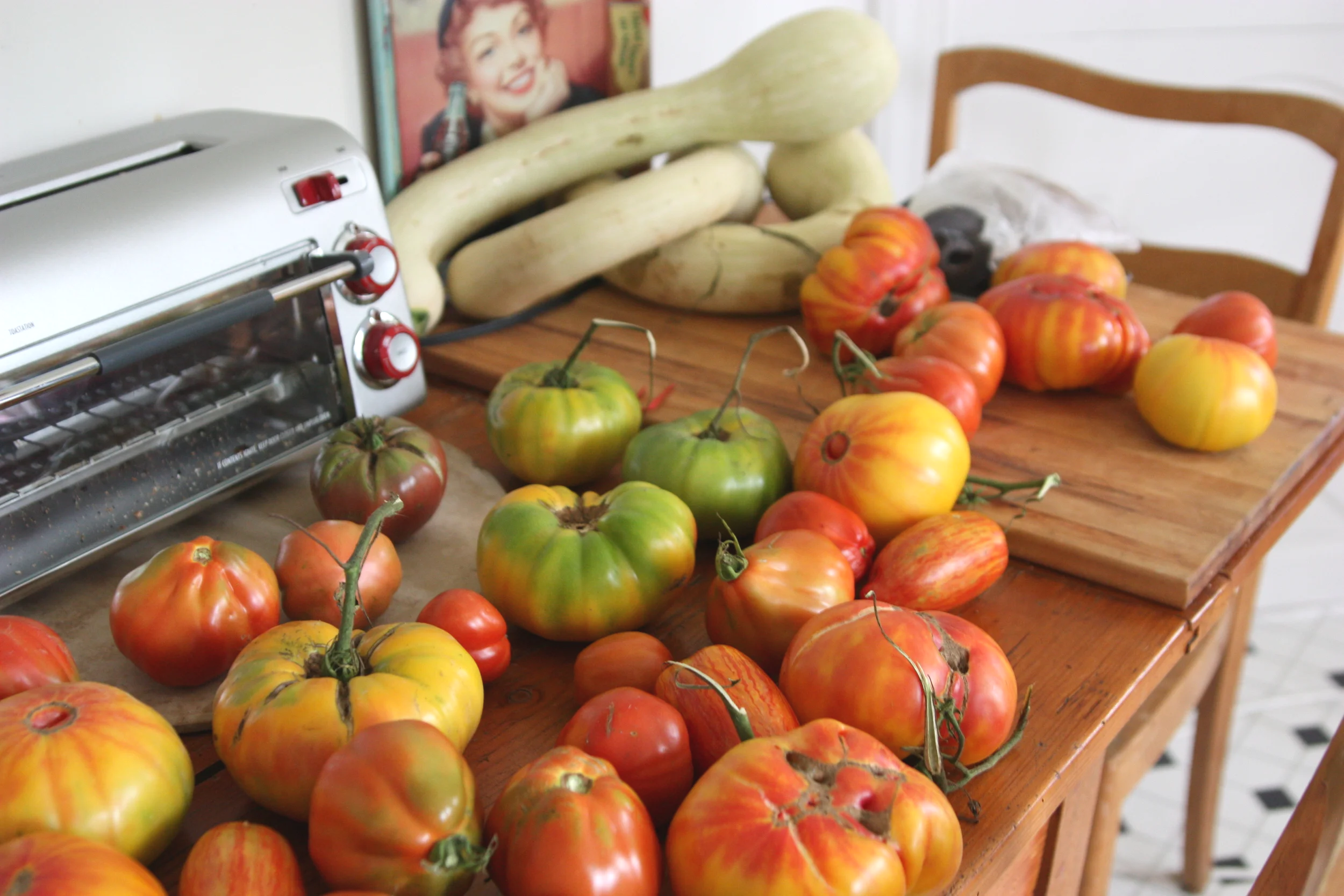 Tips for Growing Beefsteak Tomatoes