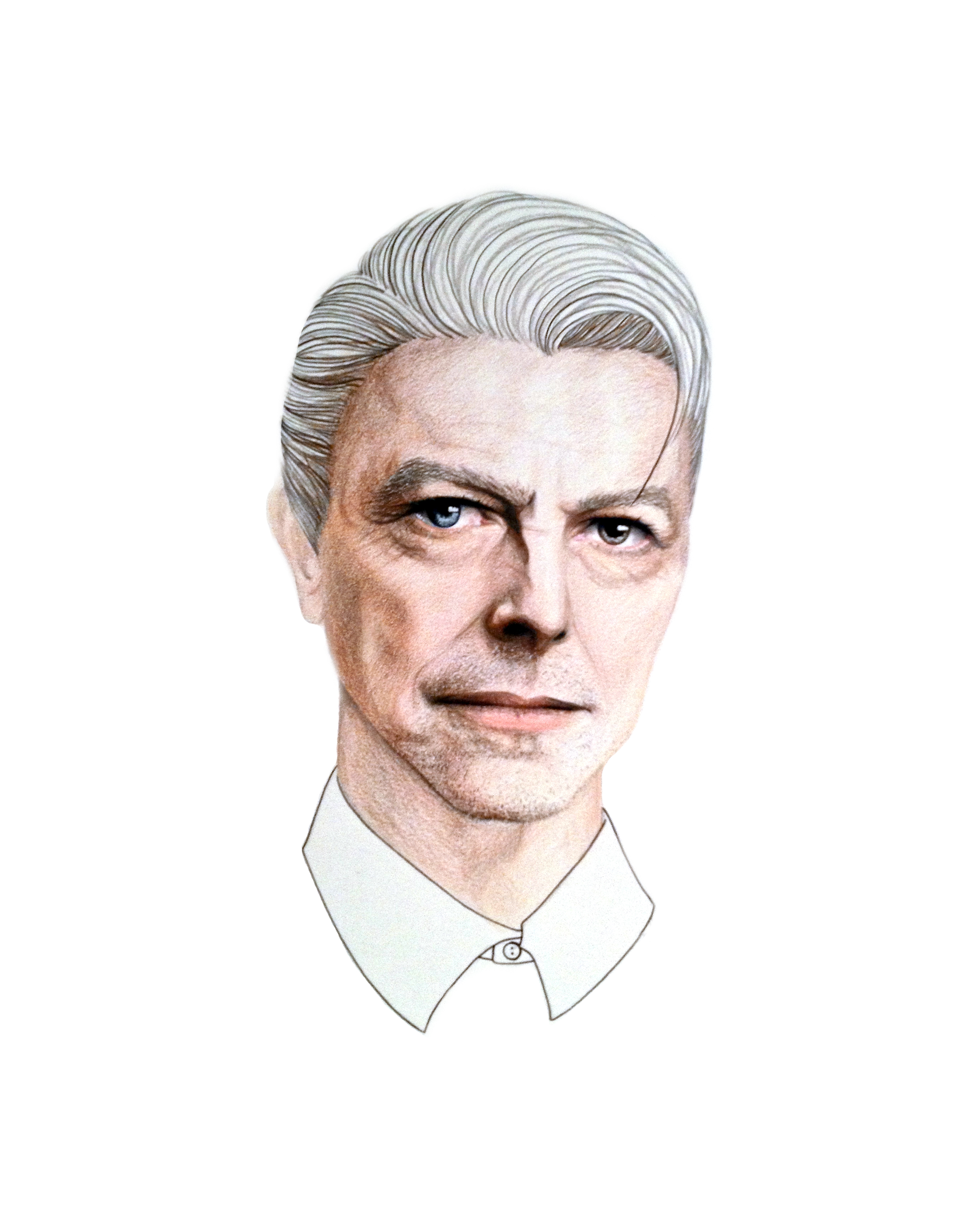 Bowie_Portrait.jpg
