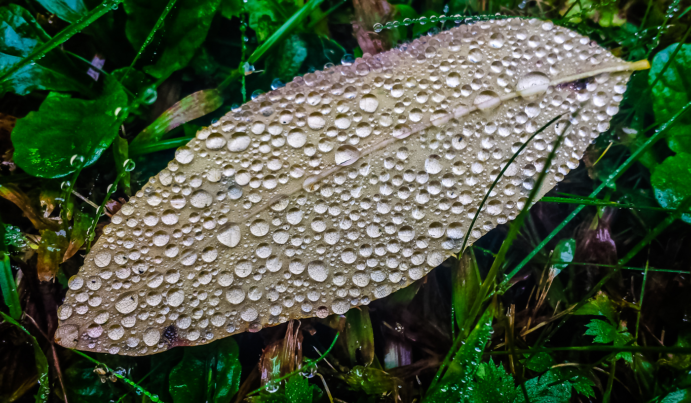 "Droplets", inkjet print, 20"H x 26"W