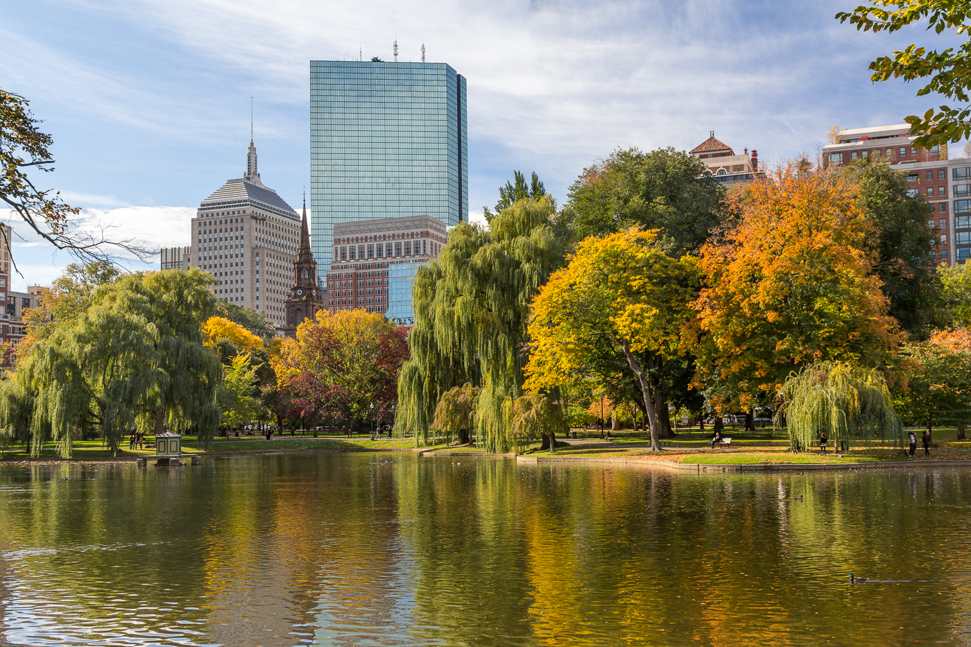 “Fall in the City, Boston Public Garden”, inkjet print, 22”H x 30”W