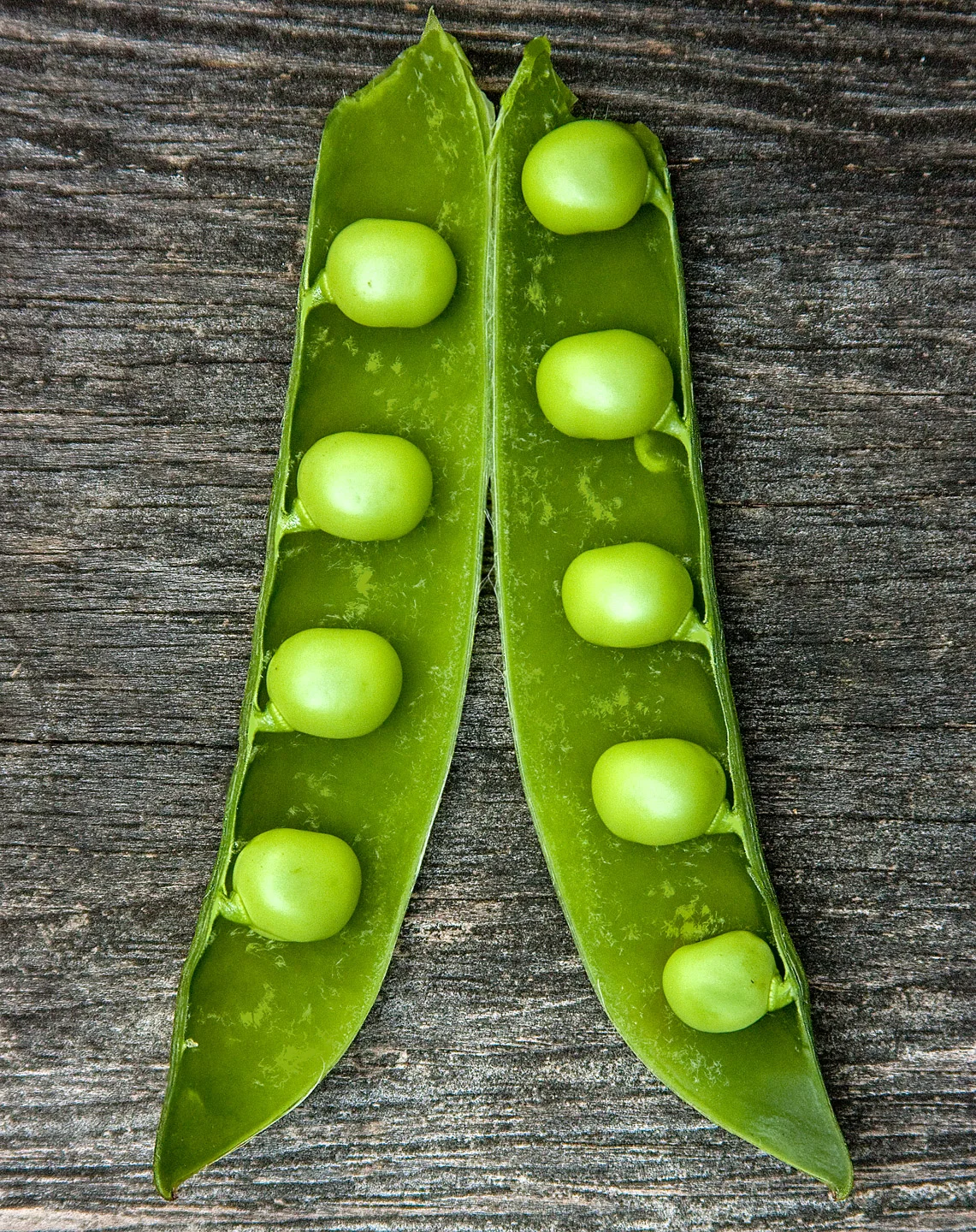 Lee's Peas (c) Bob Bass