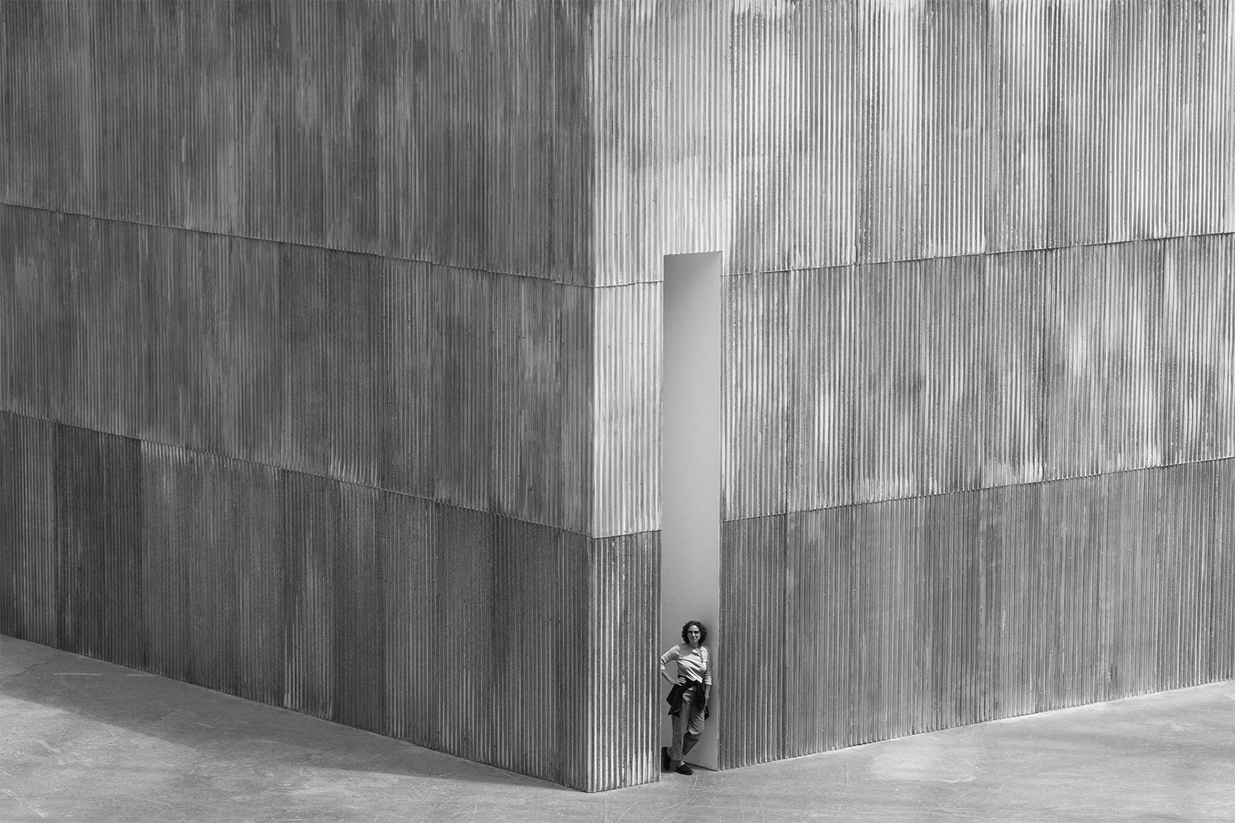 (c) Robert Scherzer
