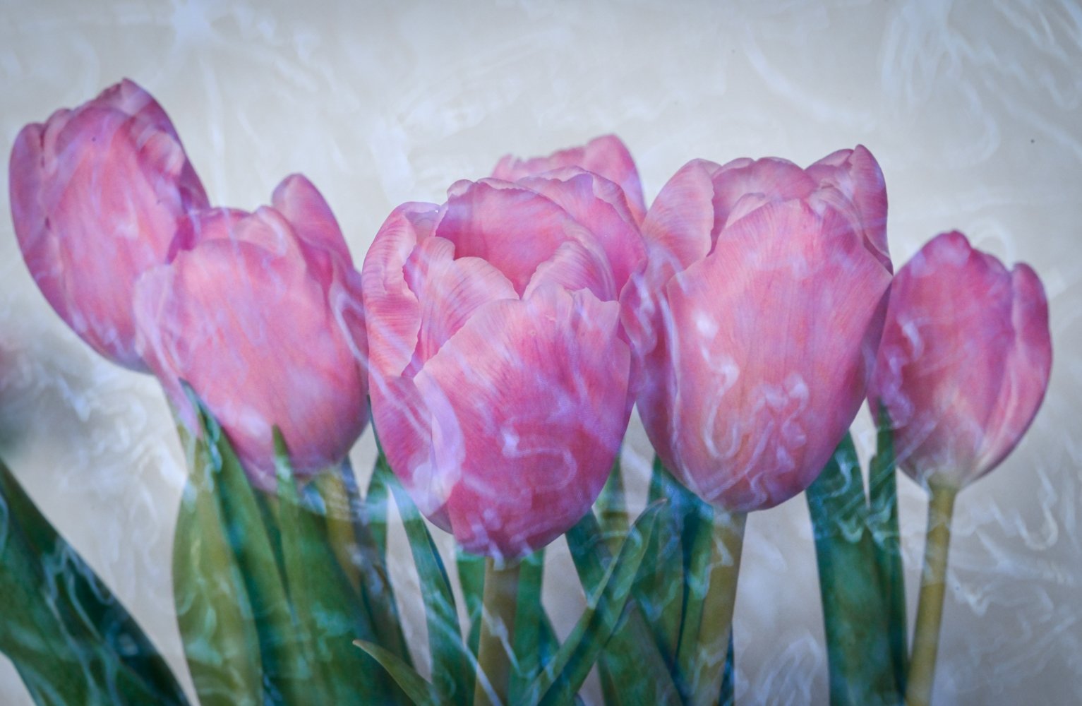  © Paulette Schwartz 