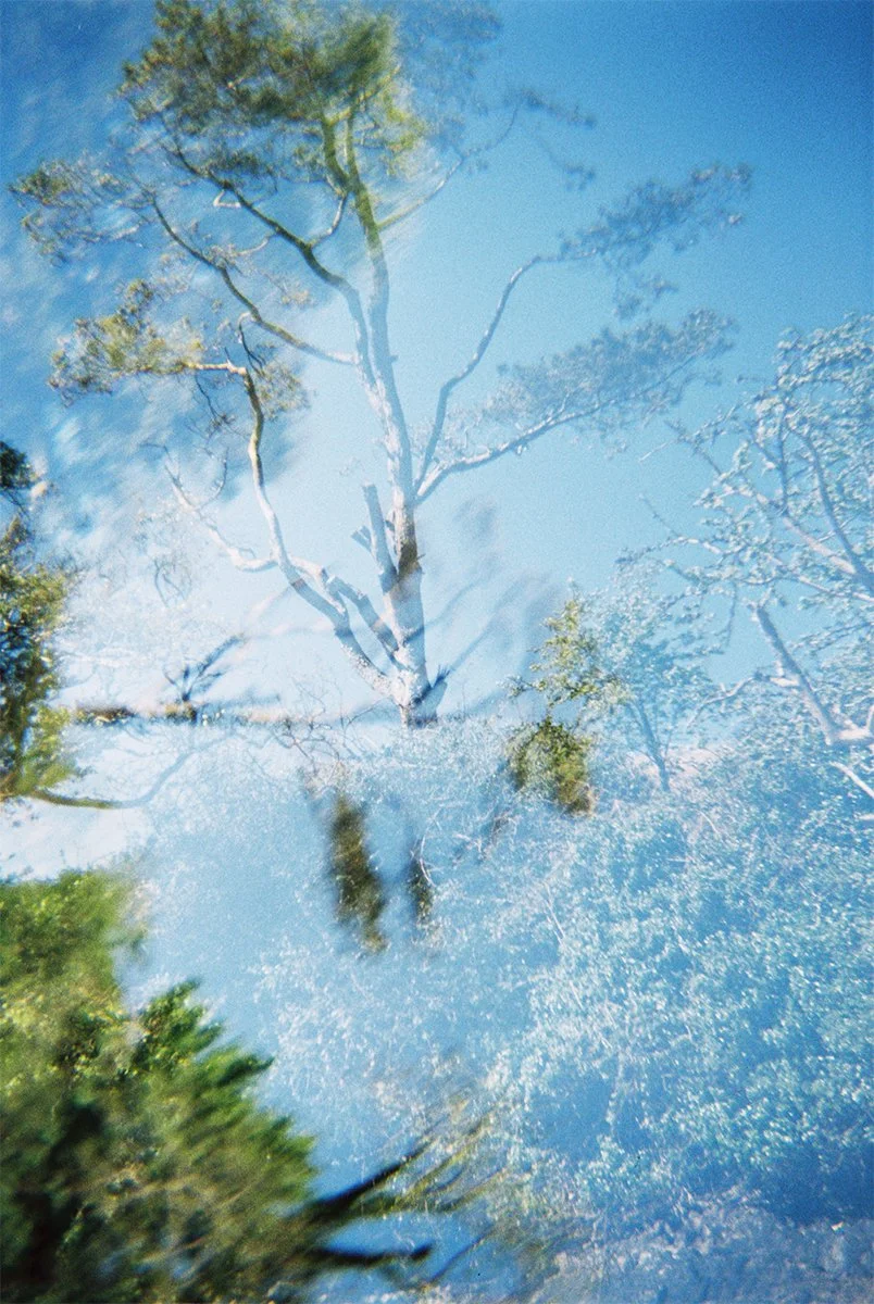  © Martha Wakefield 
