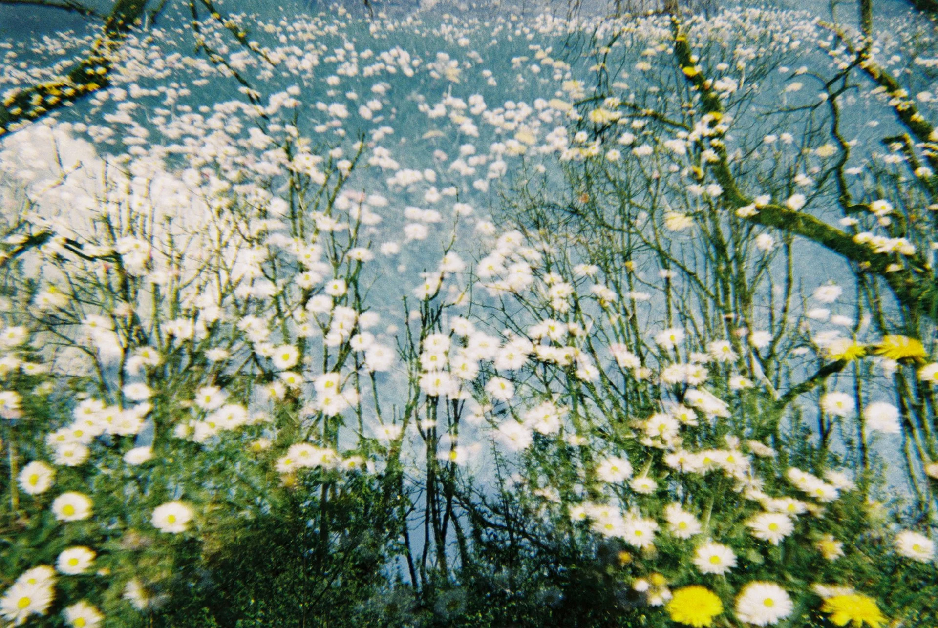  © Martha Wakefield 