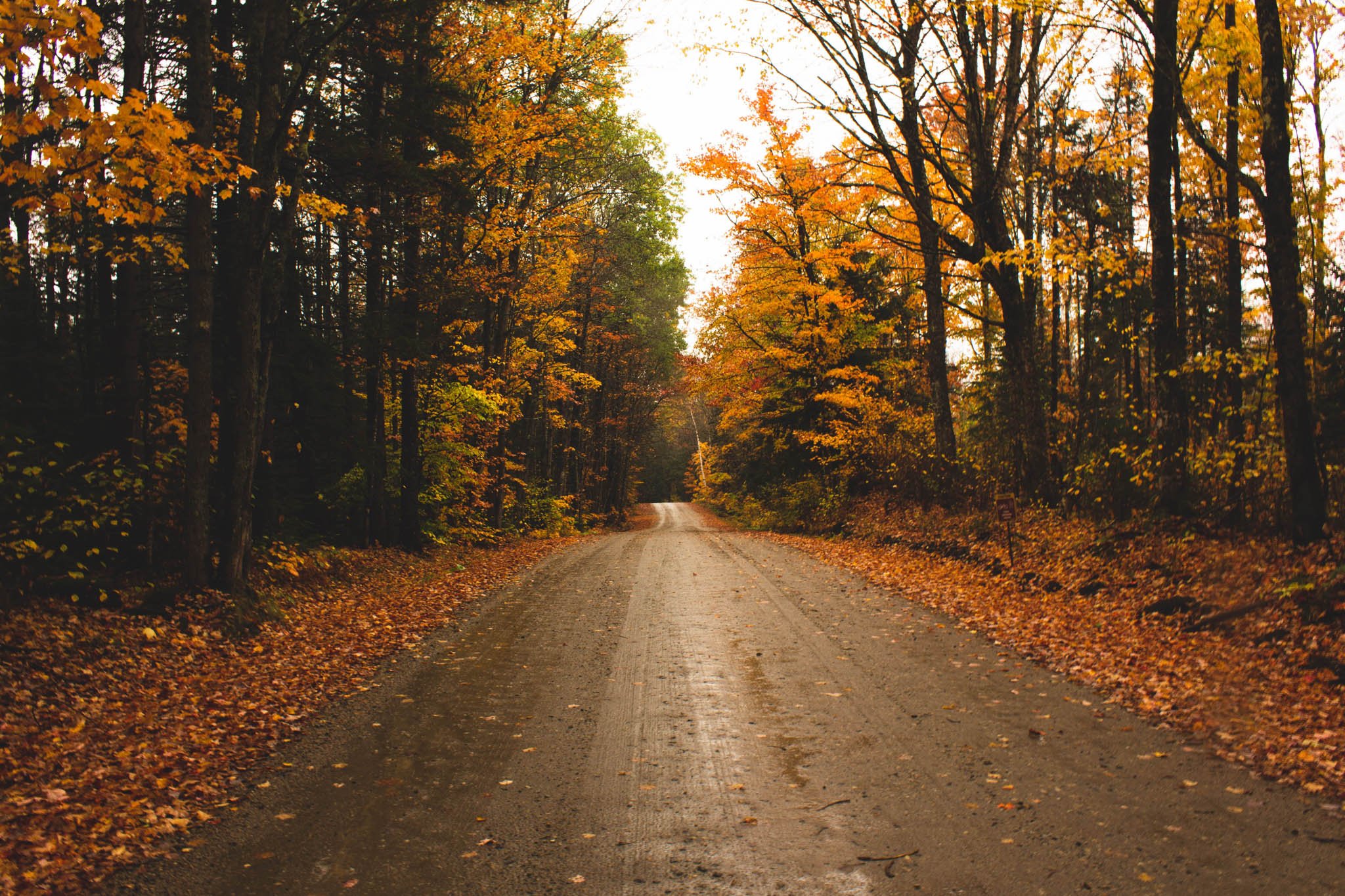 Fall Road.JPEG