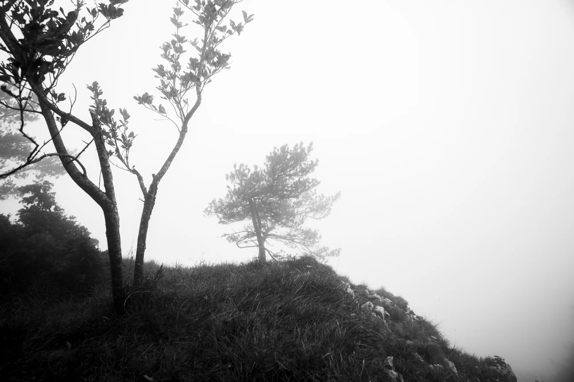 _MS_5452_02.jpg