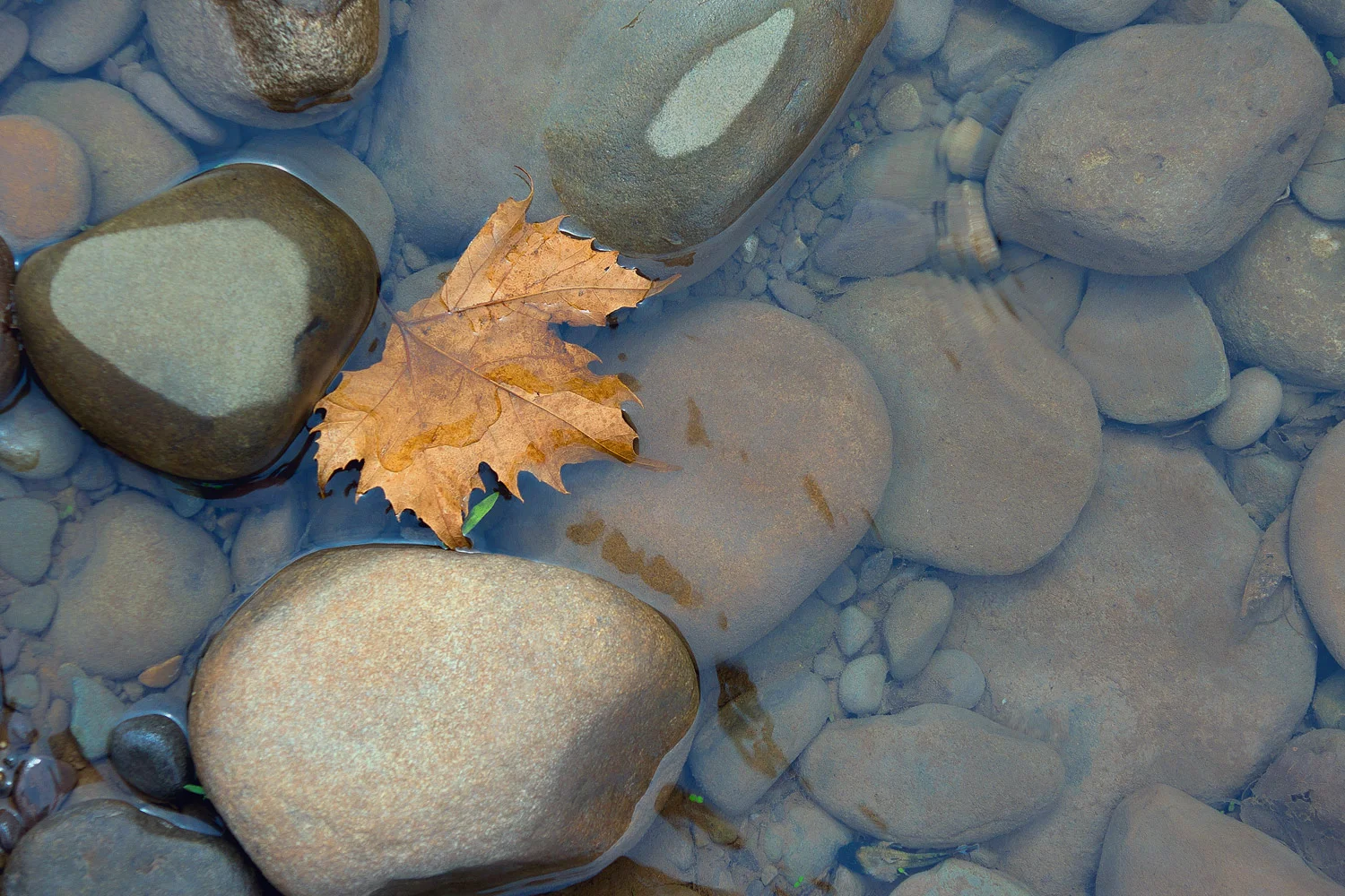 River-Rocks-24.jpg