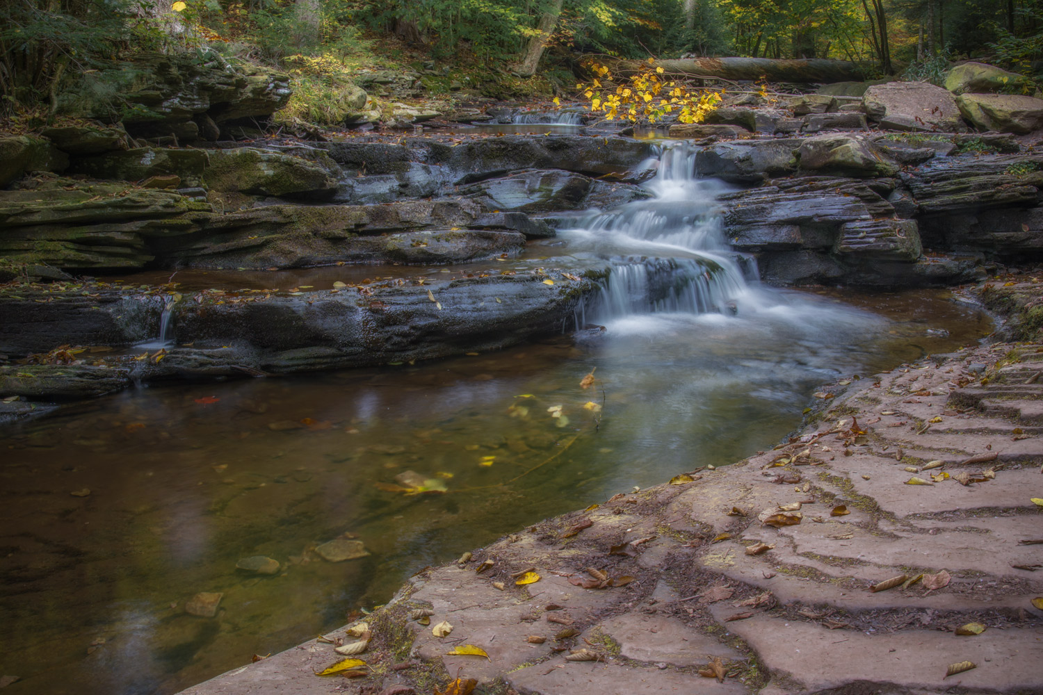 Ricketts Glen 5.jpg