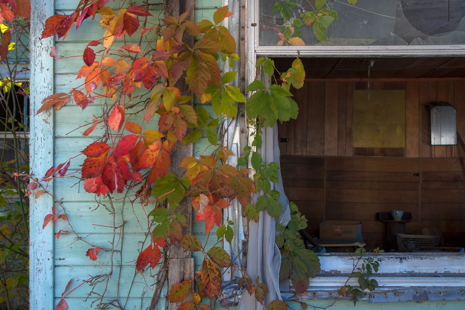 Raystown Cabin