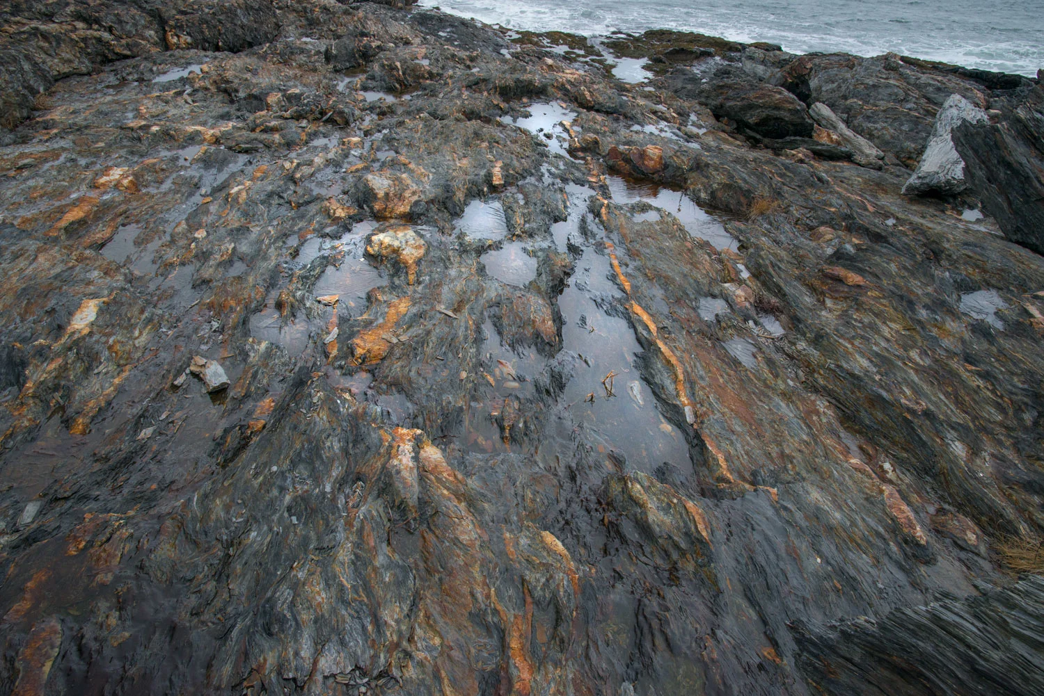 Cape Elizabeth