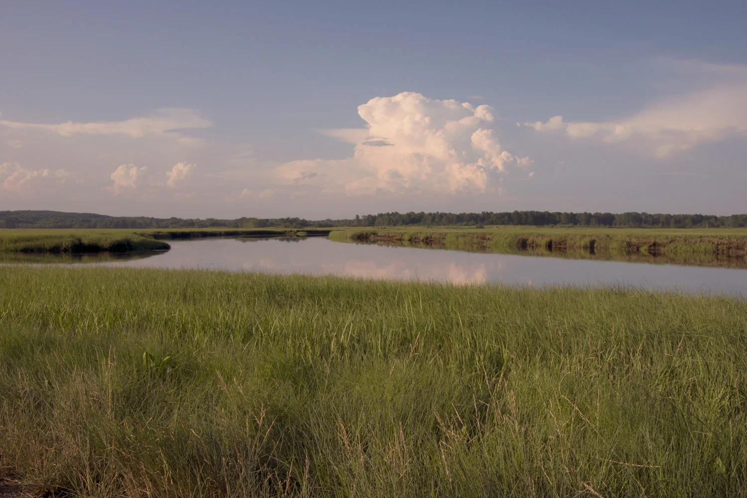 Scarborough Marsh