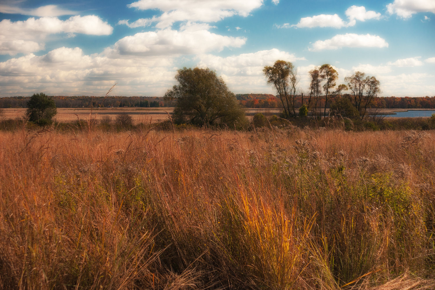 Montezuma Refuge 1