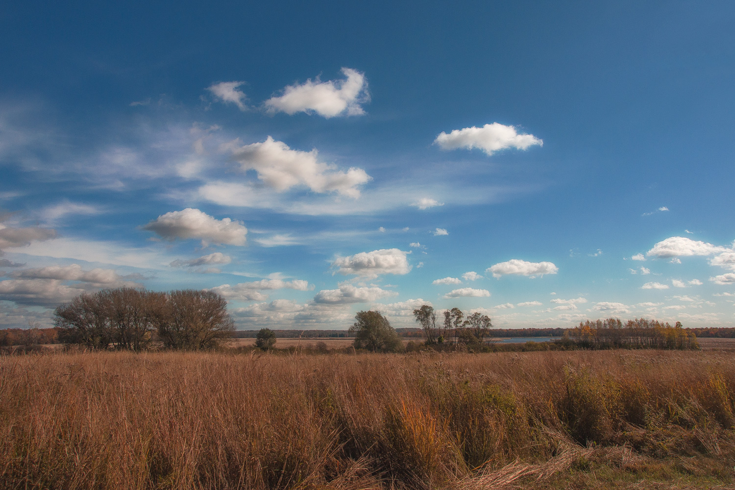 Montezuma Refuge 2