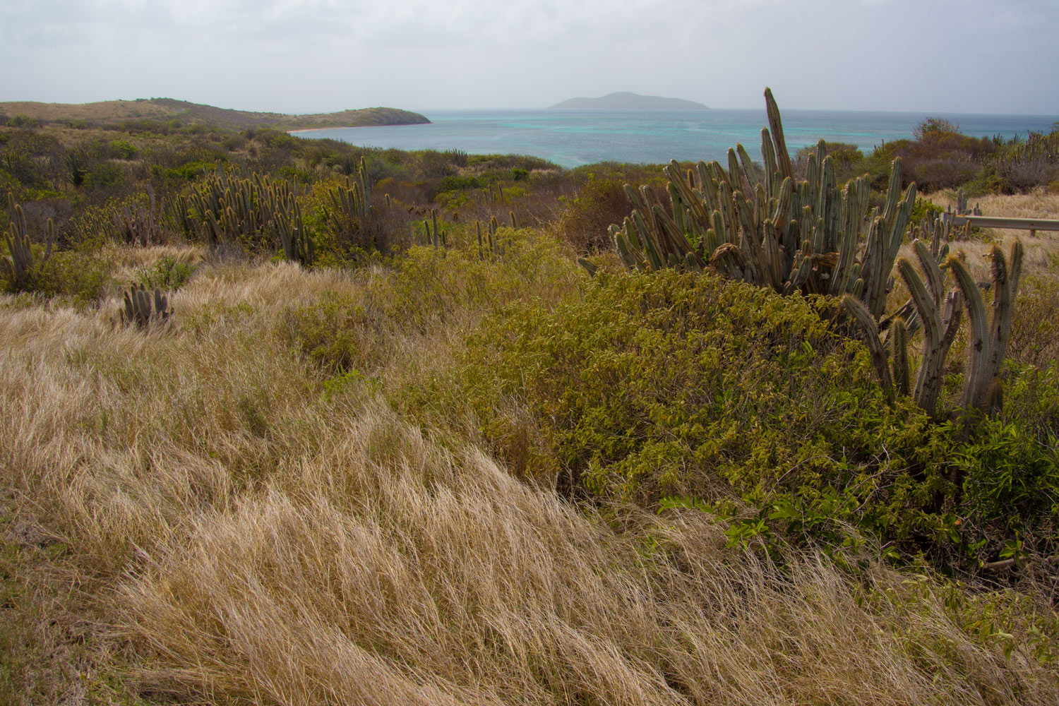 Point Udall