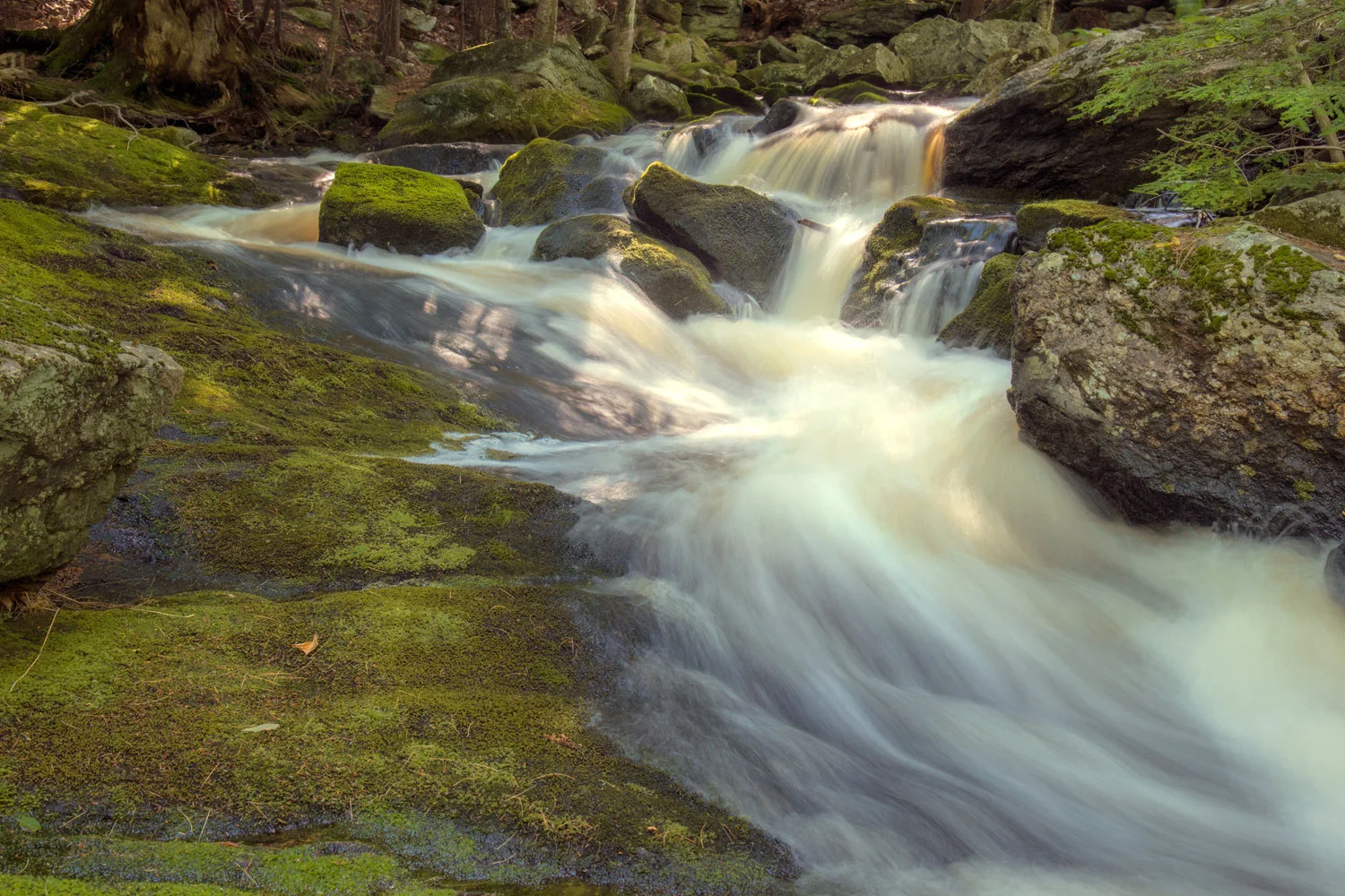 Pondshore Falls 1