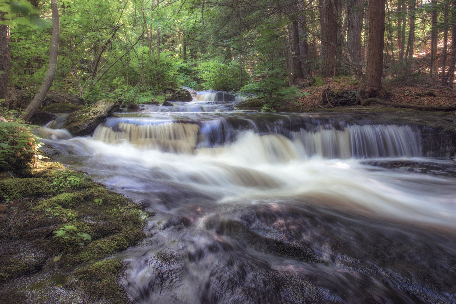 Pondshore Falls 2