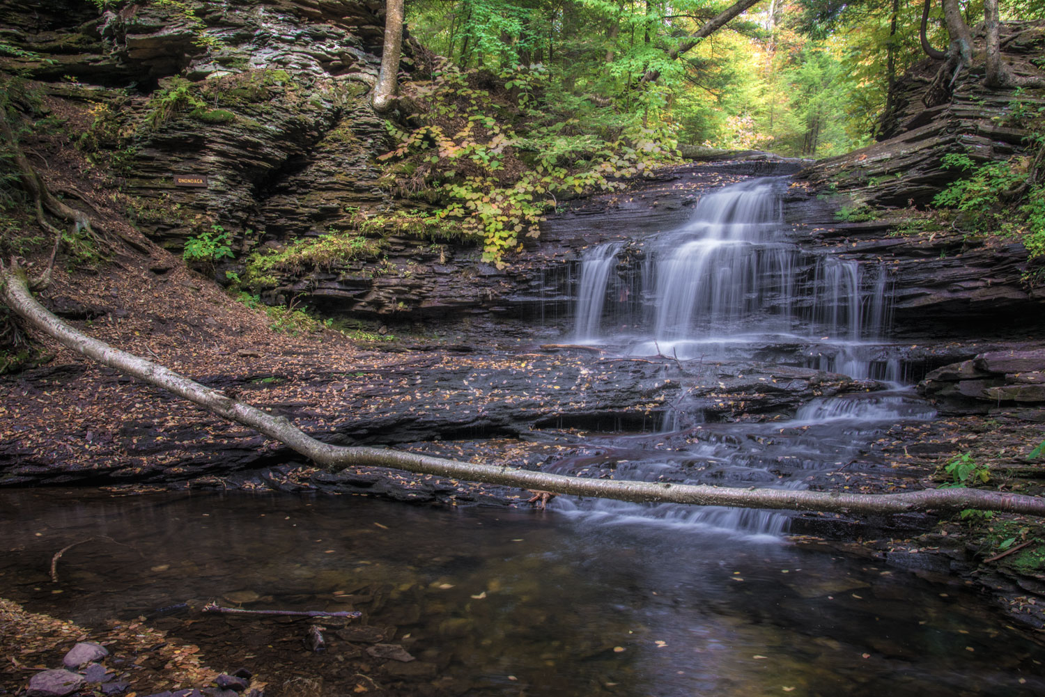 Ricketts Glen 1