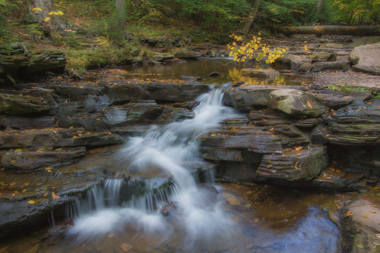 Ricketts Glen 3