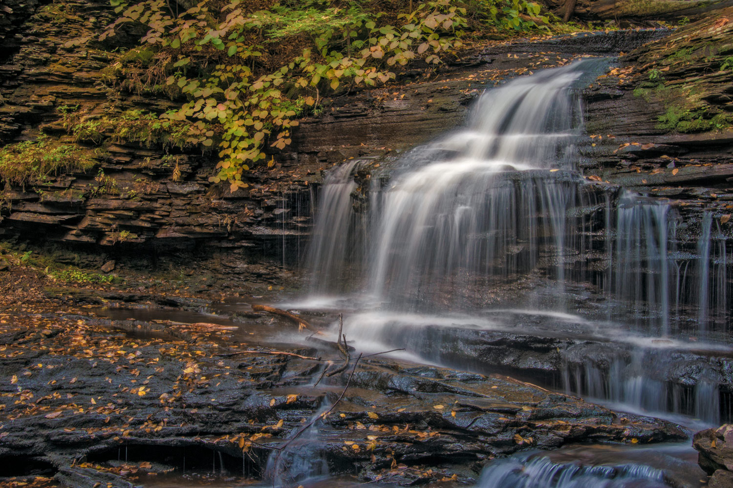 Ricketts Glen 5