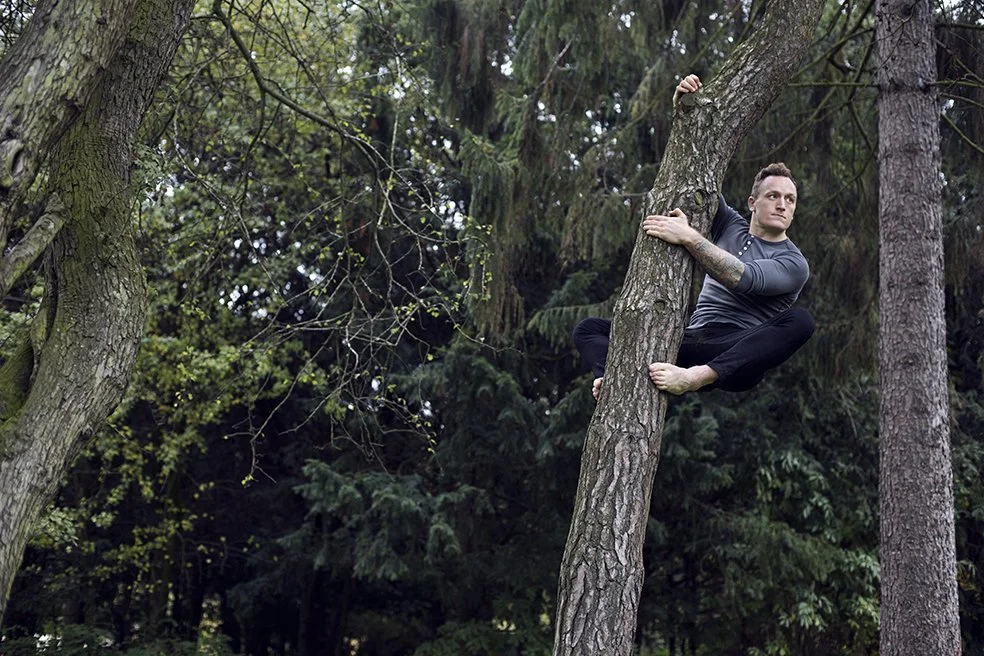 UpATree.jpg