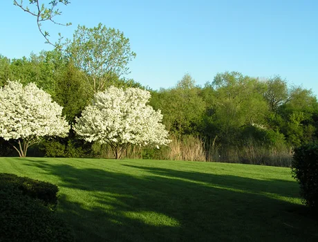 Expansive view from our adult treatment room